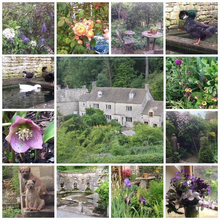 Dove Cottage Bisley  Exterior foto